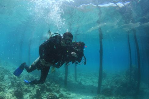 Menikmati Eksotis Pesona Bawah Laut Kolaka Bersama Terios