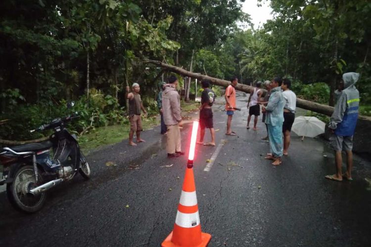 Warga evakuasi pohon roboh akibat hujan badai dan angin kencang di Kabupaten Kulon Progo, Daerah Istimewa Yogyakarta.