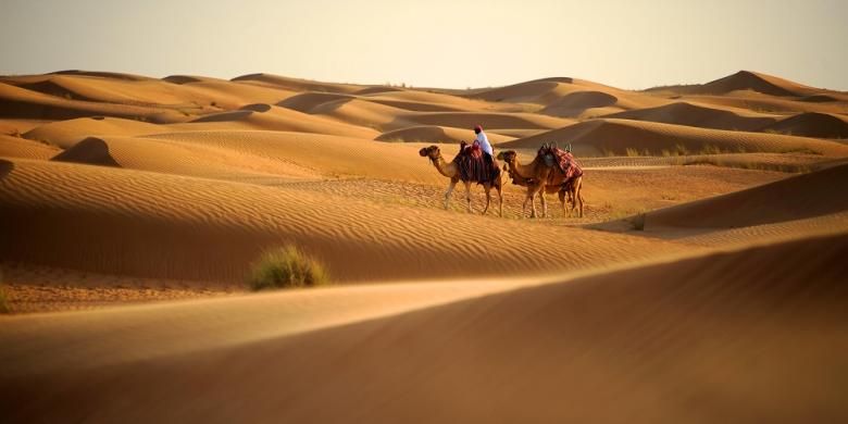 Tak lengkap berkunjung ke Dubai tanpa menyambangi gurun pasirnya. Banyak pemandu wisata lokal yang menyediakan safari gurun termasuk menunggang unta, off-road, atau berseluncur di pasir.