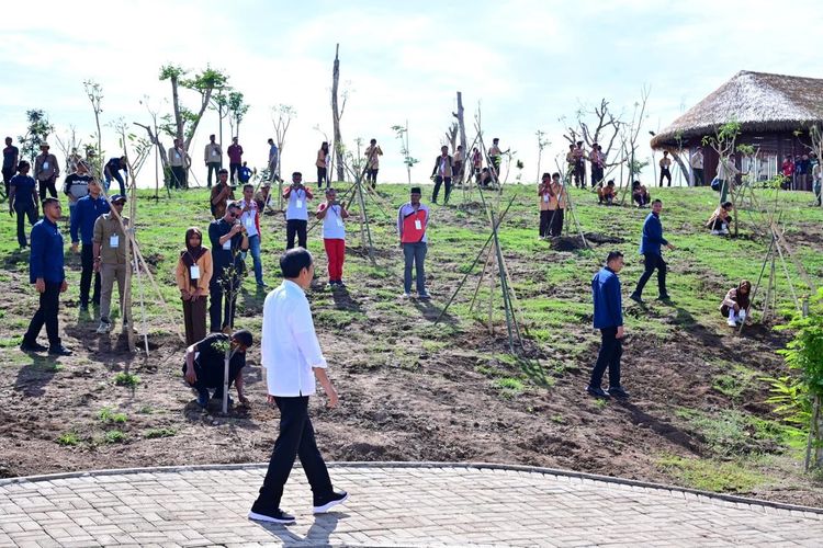 Presiden Joko Widodo melakukan kegiatan menanam pohon bersama warga dan pelajar di Embung Anak Munting, Kabupaten Manggarai Barat, Provinsi Nusa Tenggara Timur, Selasa (5/12/2023).