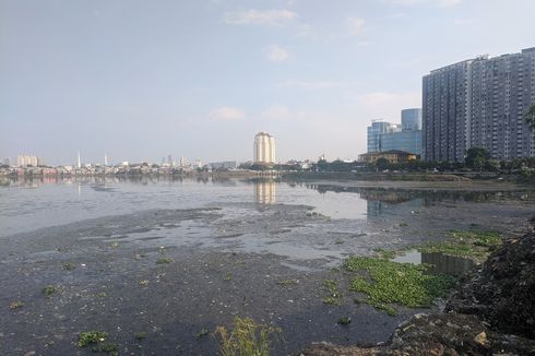 VIDEO: Melihat Kembali Waduk Pluit Setelah Jokowi Komentari Genangan di Jakarta