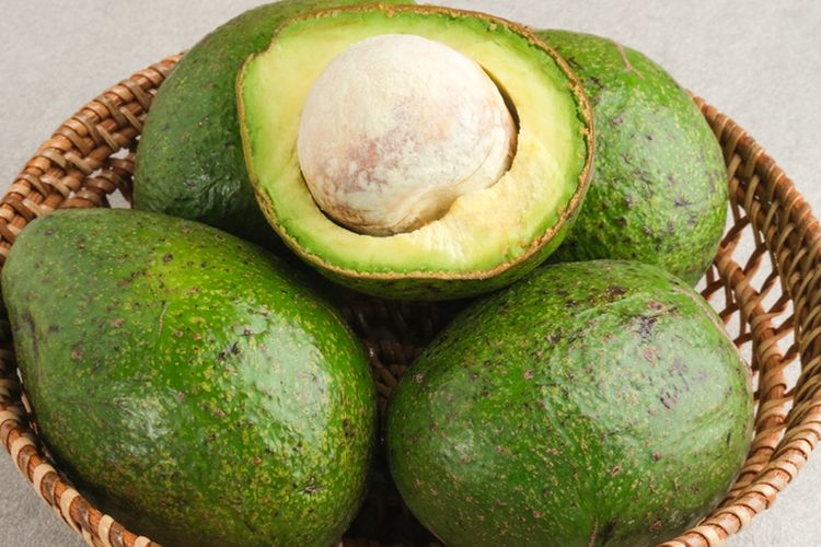 Ilustrasi alpukat, buah alpukat, alpukat mentega. 