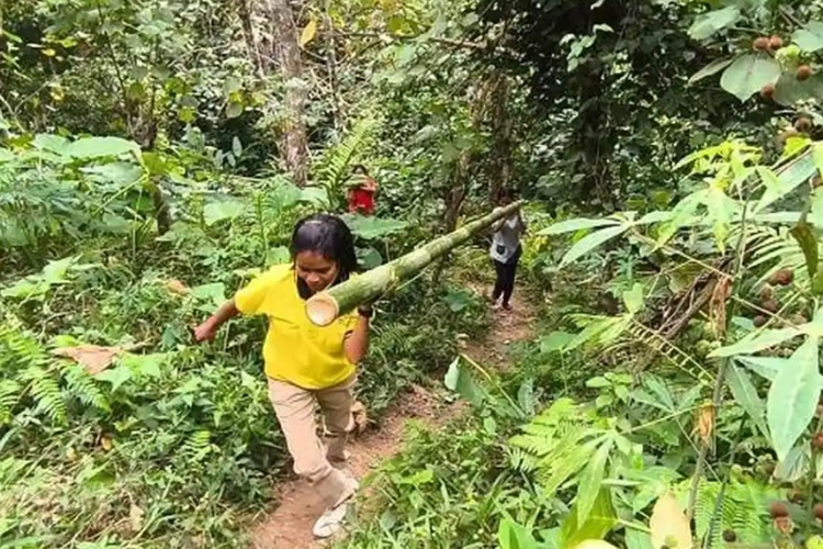 Kisah Guru dan Orangtua Siswa di NTT, Keluar-Masuk Hutan demi Bangun Ruang Belajar Usai Gempa M 7,7