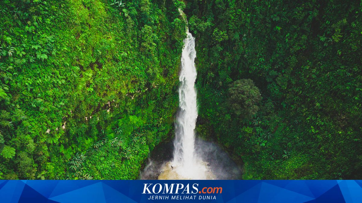 10 Curug di Banyumas yang Wajib Dikunjungi, Cocok untuk 