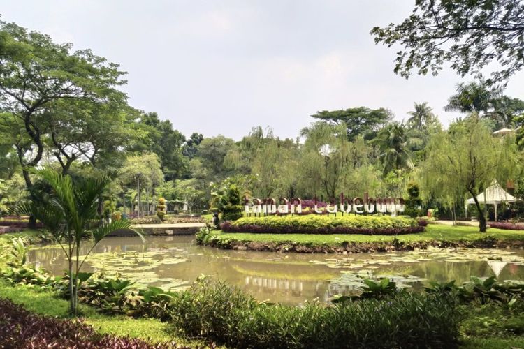 Suasana Taman Tabebuya, Ciganjur, Jagakarsa, Jakarta pada Kamis (15/10/2020).