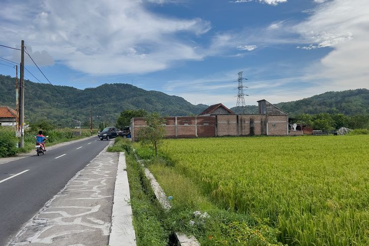 Lokasi Adegan Mobil CRV Masuk Sawah di Film Abadi Nan Jaya, Rabu (29/10/2025).