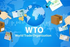 Indonesia Tidak Lagi Masuk, Berikut Daftar Negara Berkembang Versi WTO