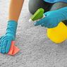 Cara Aman Membersihkan Serpihan Pecahan Kaca di Karpet