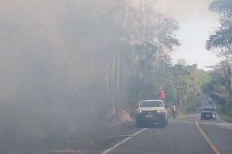 Hutan Bukit Soeharto di KM 74, Kabupaten Kutai Kartanegara, Kalimantan Timur terbakar