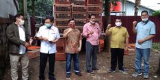 Bekerja Sama dengan Swasta, Kementan Serap Kelebihan Stok Ayam Akibat Dampak Covid-19