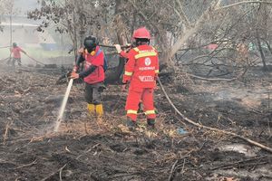 BNPB Kerahkan Puluhan Ribu Personel ke 6 Provinsi Prioritas Terdampak Karhutla