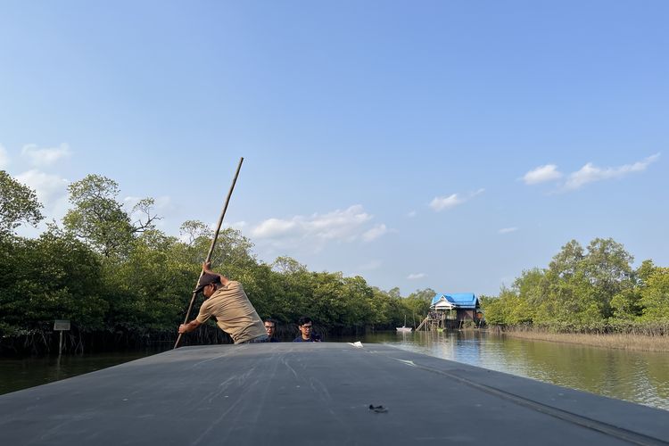 Kawasan Hutan Mangrove Mentawir, destinasi wisata dekat IKN, Selasa (3/10/2023).