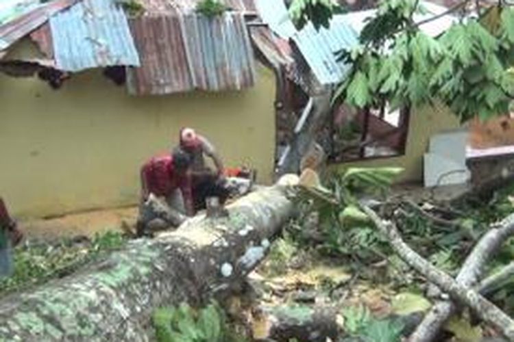 Sebuah rumah di Dusun Waimahu Desa Latuhalat tampak hancur akibat tertimpa pohon pada Jumat (17/1/2014) dinihari tadi. warga pun tampak saling membantu untuk mengangkat bangkai pohon yang menimpa rumah tersebut