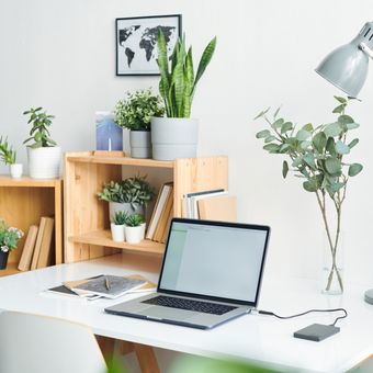 Ilustrasi tanaman hias di ruang kerja atau meja kerja.