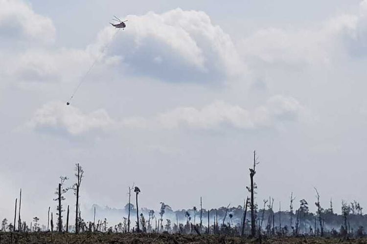 Dua helikopter melakukan water bombing pada titik api karhutla yang terjadi di perbatasan Desa Merbau, Kecamatan Bunut dengan Desa Pangkalan Terap, Kecamatan Teluk Meranti, Kabupaten Pelalawan, Riau, Senin (29/6/2020).