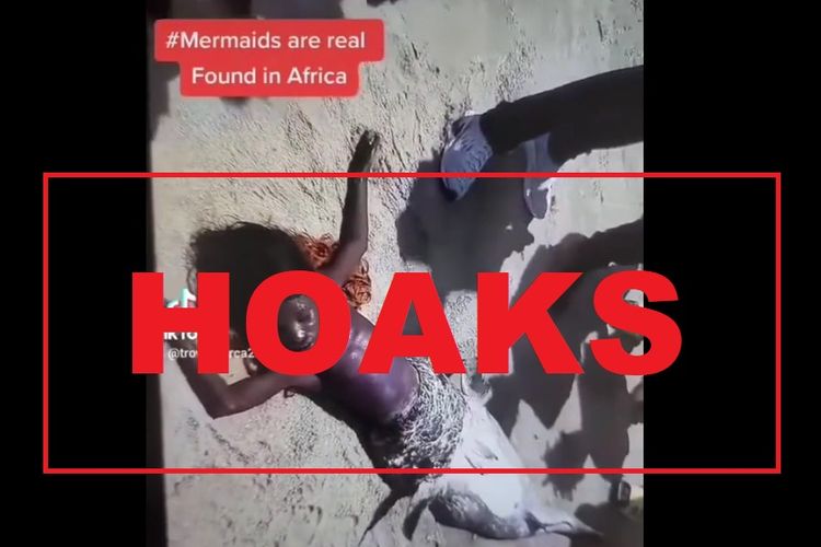 Hoaks, video putri duyung tertangkap di Afrika