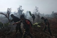 Sekitar 50 Hektare Hutan Produksi Konservasi di Pesisir Selatan Sumbar Terbakar
