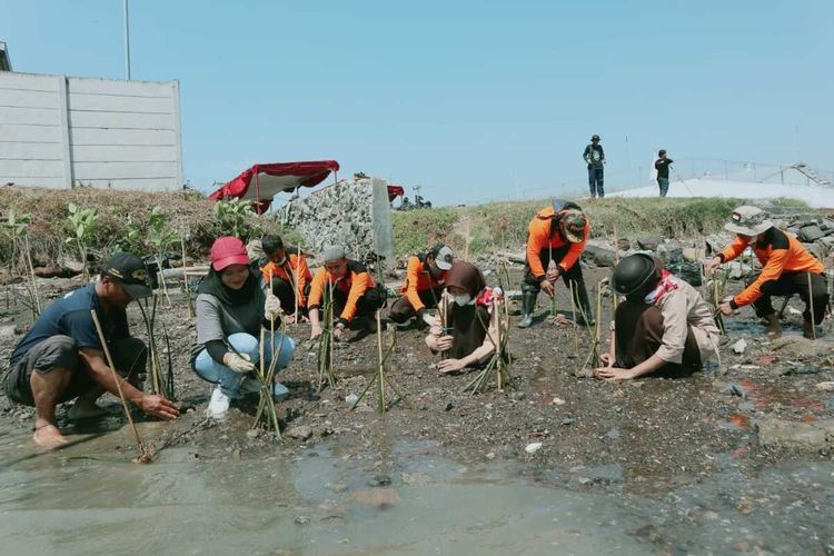 Relawan penggerak lingkungan menanam mangrove di Pesisir Randu Garut Kawasan Industri Wijayakusuma (KIW), Semarang, Minggu (18/9/2022).