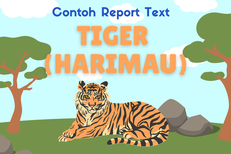 Ilustrasi contoh reprt text bahasa inggris tentang hewan harimau (tiger)