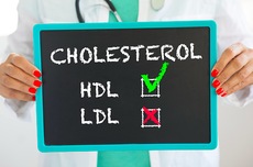 2 Fungsi Kolesterol untuk Tubuh, Bukan Sekadar Momok Kesehatan