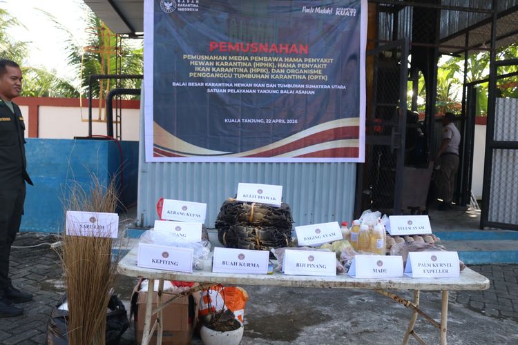 Cegah Penyebaran Penyakit, 1.984 Lembar Kulit Biawak Ilegal Dibakar