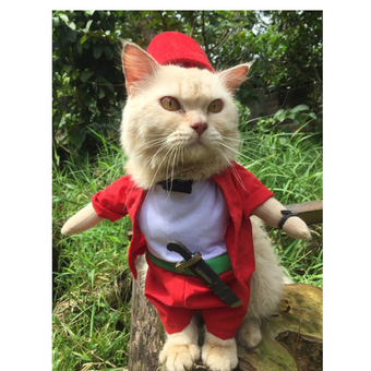 Seekor kucing menggunakan kostum kucing buatan Fredi Lugina.