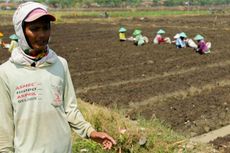 Lahan 211.522 Ha Siap Didistribusikan ke Masyarakat untuk Hutan Sosial