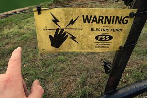 Jerat Listrik Ancam Gajah Sumatera, Koridor Habitat Kian Terfragmentasi