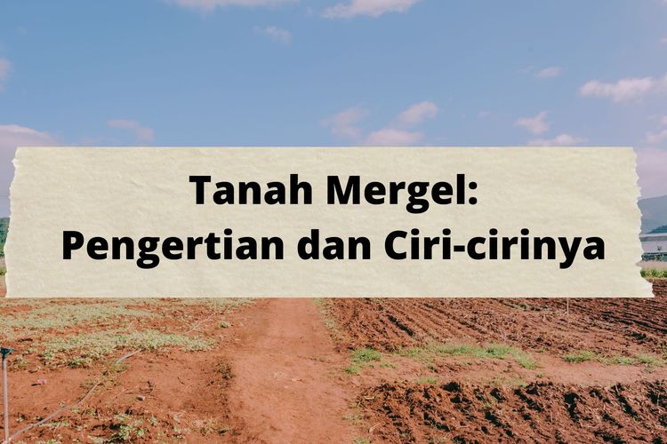 Ilustrasi tanah mergel, pengertian tanah mergel, dan ciri-ciri tanah mergel