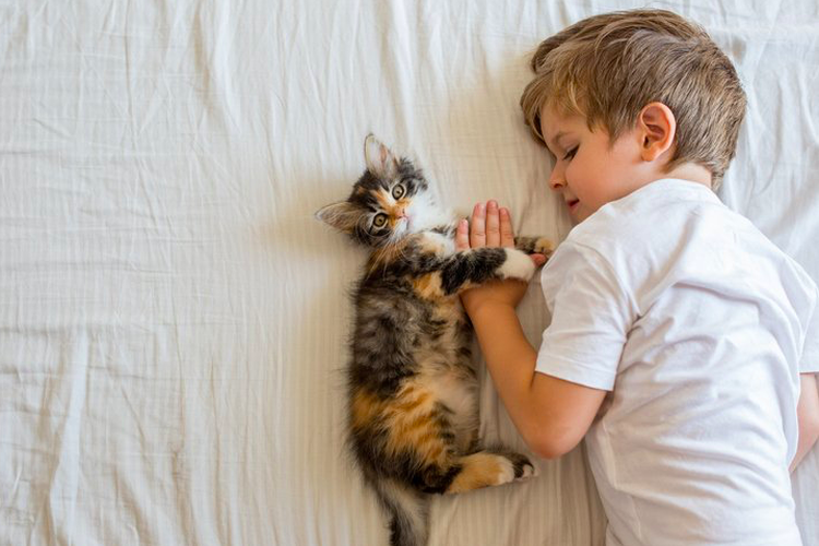 Interaksi seekor kucing dengan bayi manusia.
