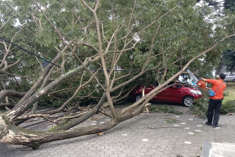 Kejadian pohon tumbang di Jalan Simpang Balapan, Kota Malang mengakibatkan satu unit mobil berwarna merah Suzuki Ertiga yang terparkir dipinggir jalan tertimpa pada Senin (7/2/2022) siang. 