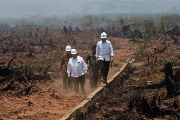 Presiden Joko Widodo (depan) dan Menteri Kehutanan dan LIngkungan Hidup, Siti Nurbaya (kiri), melakukan inspeksi kebakaran hutan gambut di Banjarbaru, Kalimatan Selatan, 23 September 2015.