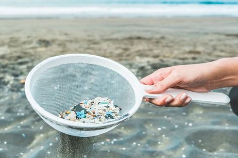 Kuliah Tamu ITB, Pakar Ungkap Bahaya Mikroplastik pada Ekosistem Laut