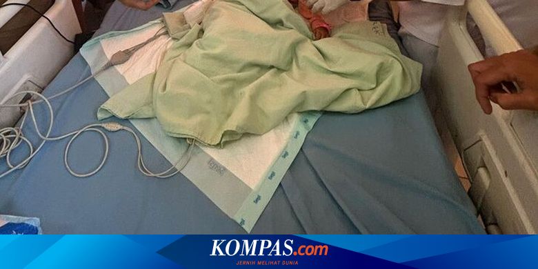 Penjelasan Dokter soal Gumpalan Cacing dalam Tubuh Balita Kakak Beradik di Bengkulu