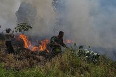 Riau Tetapkan Status Siaga Darurat Kebakaran Hutan dan Lahan 