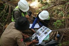 Mengenal Biodiversitas di Wawonii, Pulau Kecil Kaya Potensi