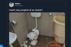 Viral soal Unggahan Toilet, Mana yang Lebih Sehat Toilet Duduk atau Jongkok?