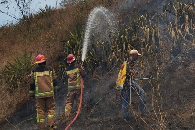Kebakaran 59 Hektar Hutan Gunung Guntur, Berawal dari Remaja Bolos Sekolah