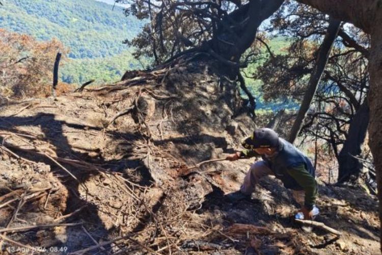 Petugas Gunakan Cairan Konsentrat Padamkan Titik Panas Kawah Wadon Gunung Gede