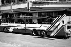 Bocoran Bus Baru PO Borlindo, Suites Class Tronton