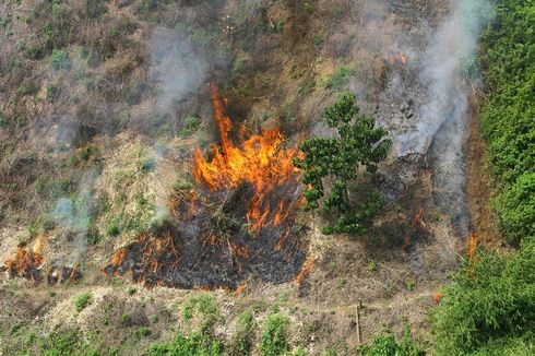 UPDATE: 136 Orang dan 2 Korporasi Jadi Tersangka Karhutla