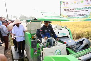 Petani Aceh Tamiang Panen Padi Perdana Pascabencana