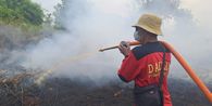 Kemenhut Periksa 4 Perusahaan Terkait Karhutla Kalbar, Ini Profil 2 Pemegang Konsesinya