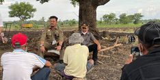 Ekonomi Nasional Tumbuh 5,02 Persen, Pertanian dan 3 Sektor Ini Mendominasi
