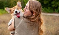 Penelitian Ungkap Memelihara Anjing Bantu Pikiran Fokus dan Rileks