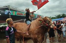 Rambah Taman Nasional Kutai, Pemuda di Kaltim Terancam 10 Tahun Penjara
