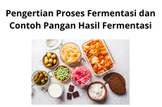 Pengertian Proses Fermentasi dan Contoh Pangan Hasil Fermentasi