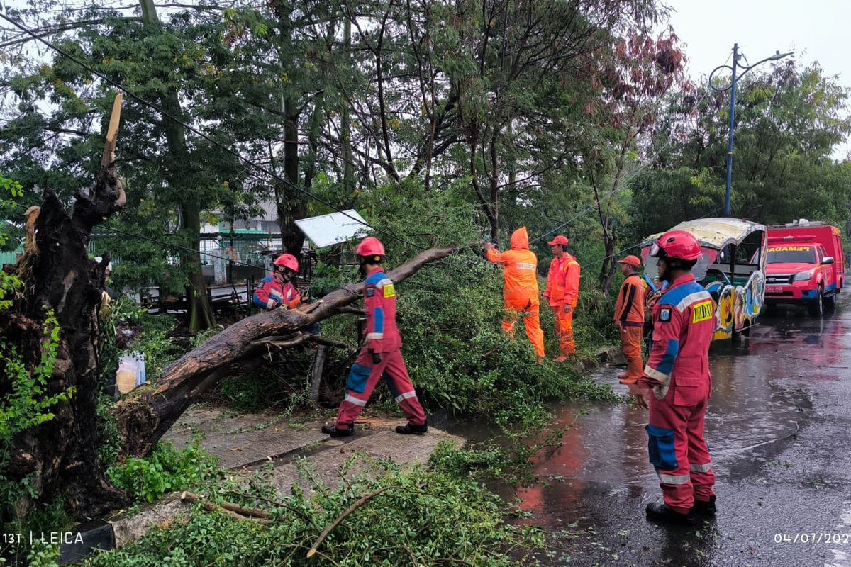 Hujan deras menyebabkan sebuah pohon setinggi 5 meter tumbang di Jalan Inspeksi Pool PPD, Kelurahan Cakung Barat, Kecamatan Cakung, Jakarta Timur pada Kamis (4/7/2024) sore.