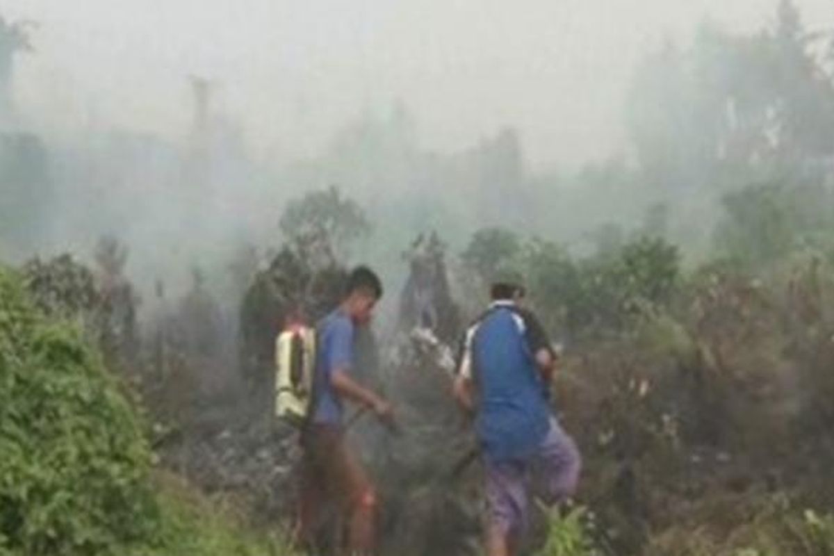 Lantaran belasan hektar lahan gambut terbakar, Kota Mamuju Utara, Sulawesi Barat, dipenuhi kabut asap, Minggu (25/10/2015).