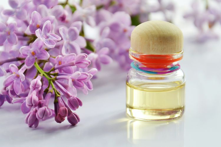 Ilustrasi minyak lavender